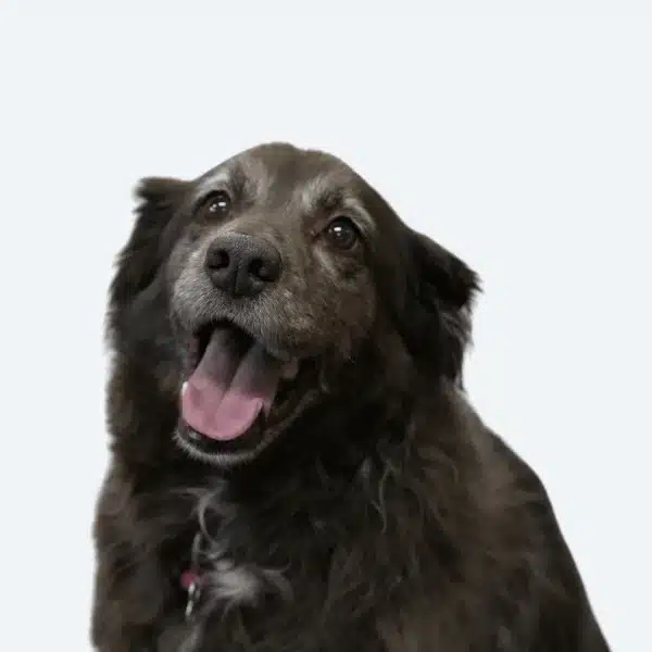 Maggie
