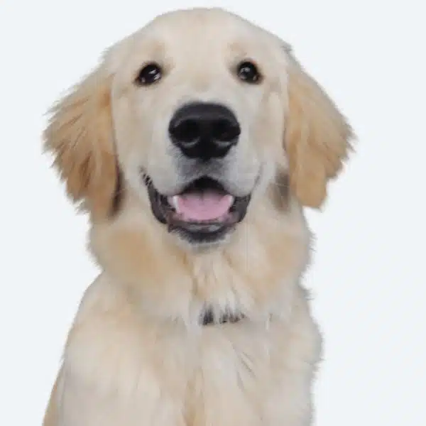 Tucker