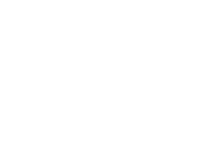 charles it logo